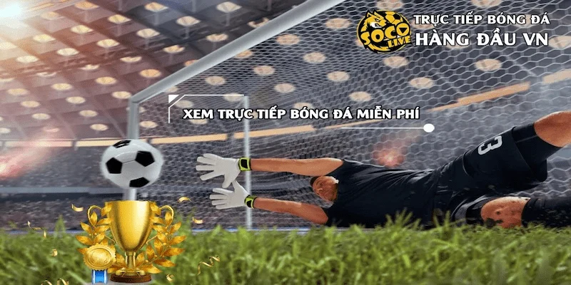 Các lợi ích khi trở thành thành viên của đại lý socolive
