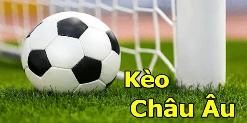 Cách đọc và hiểu tỷ lệ kèo châu âu
