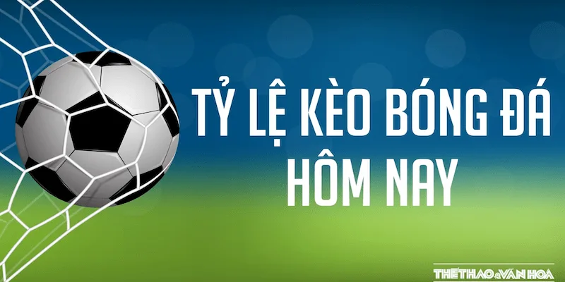 Cách đọc và phân tích tỷ lệ kèo nhà cái socolive