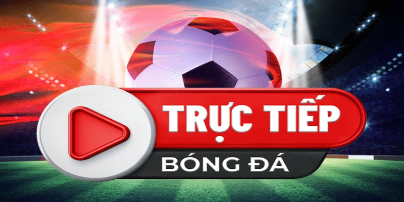 Chiến lược chơi hiệu quả tại nhà cái socolive