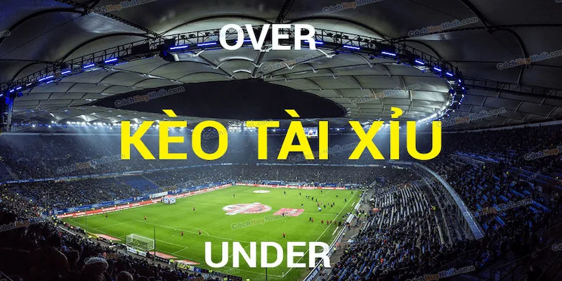 Giới thiệu tổng quan về kèo tài xỉu tại socolive