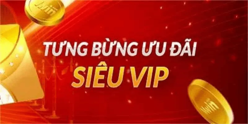 Hành trình phát triển hạng VIP tại Socolive