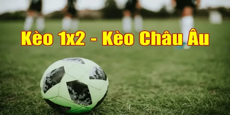 Lợi ích khi chọn kèo châu âu tại Socolive