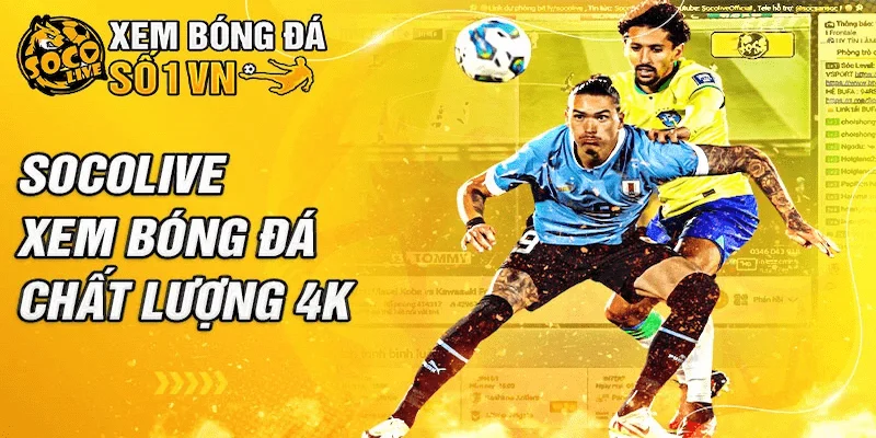 Tại sao link socolive lại được ưa chuộng?