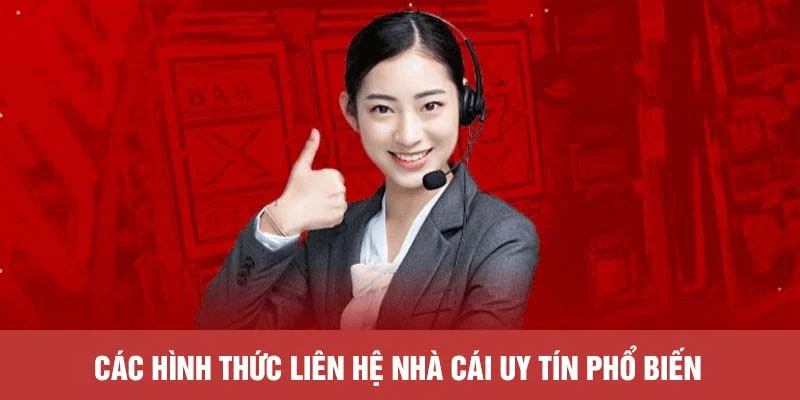 Tại sao nên liên hệ socolive trước khi bắt đầu chơi