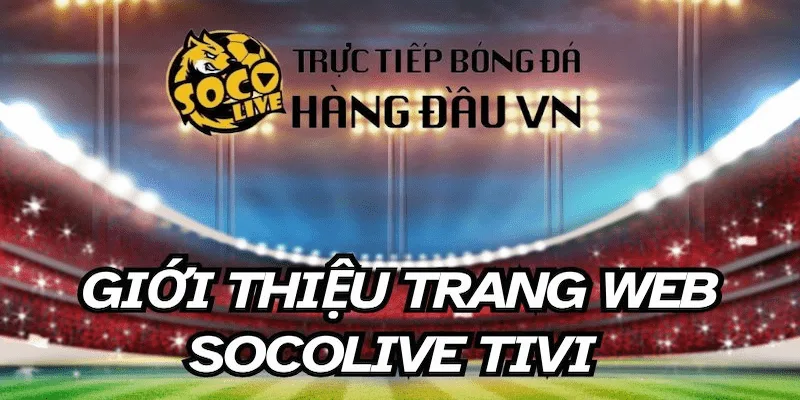 Tại sao nên lựa chọn socolive fanta