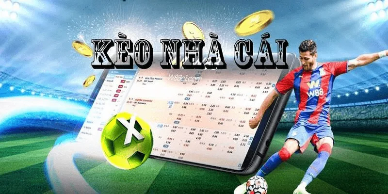 Tổng quan về tỷ lệ kèo nhà cái socolive