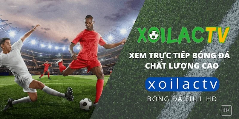 Trải nghiệm người dùng tại Socolive Xoilac